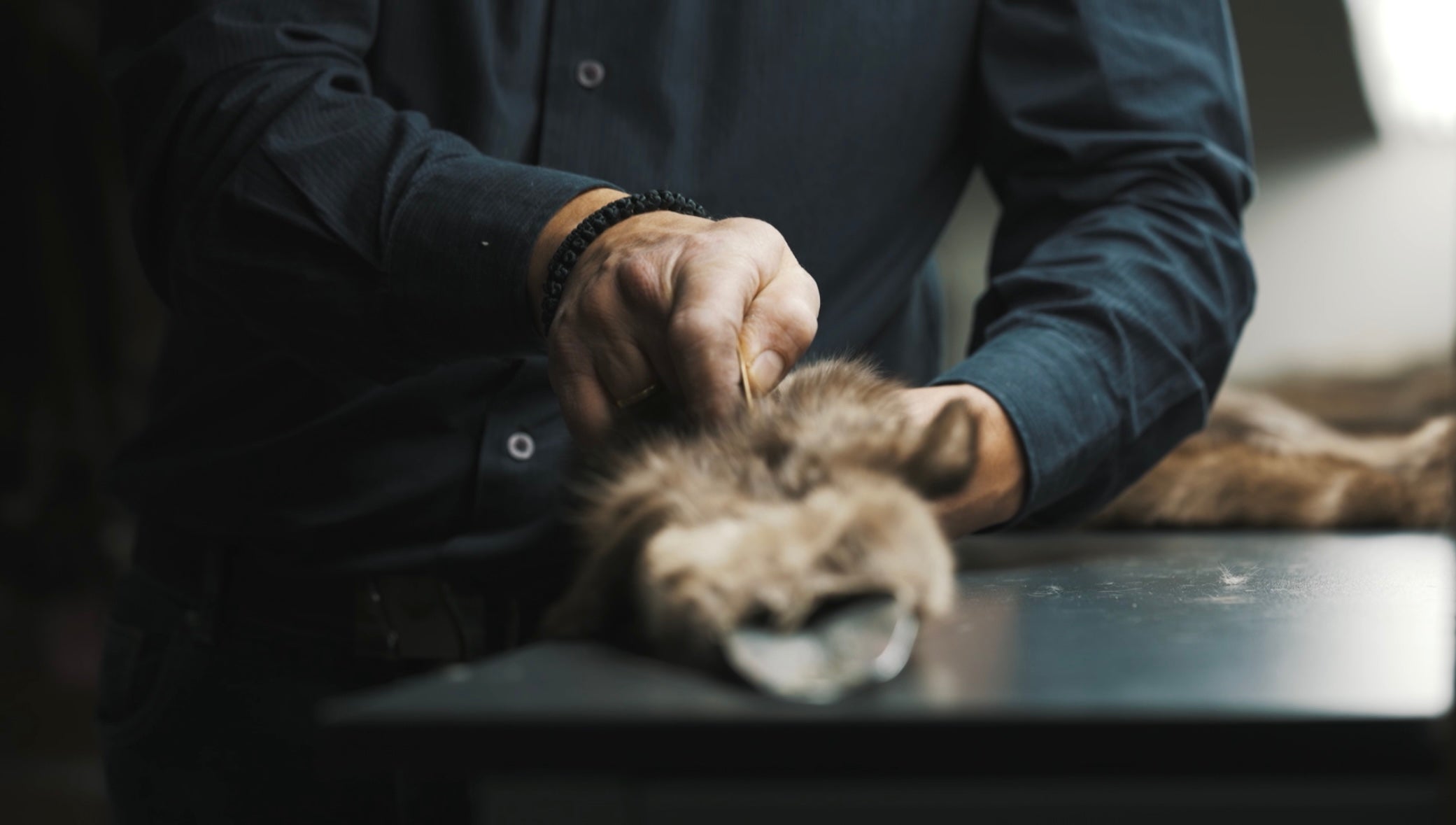 Crafting a Fur Garment: From Pelt to Perfection